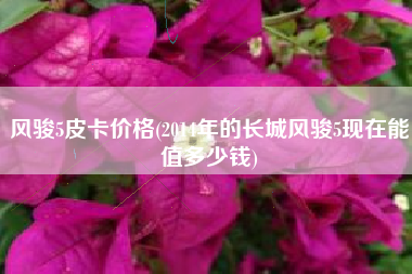 风骏5皮卡价钱，2014年的长城风骏5当初能值多少钱？
